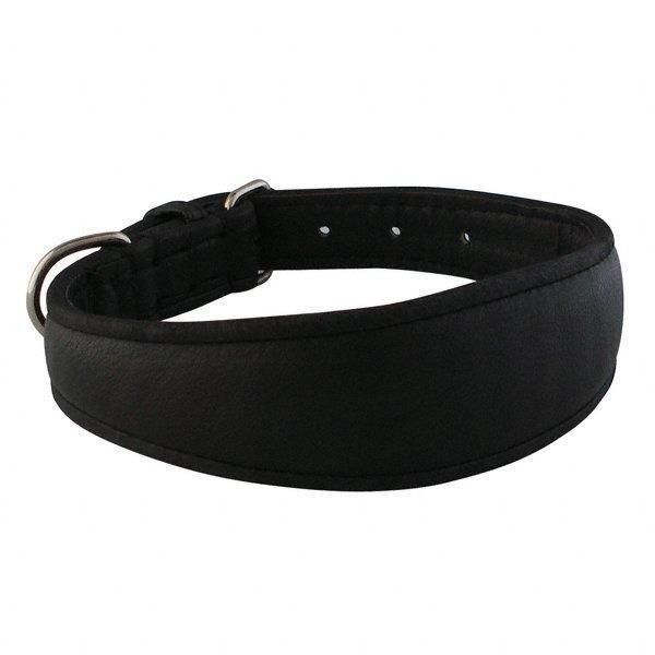 Windhund Halsband Hundehalsband, Leder schwarz