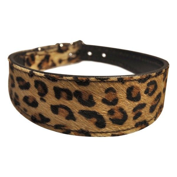 Soft Rindsleder Hundehalsband, Cheetah Muster, Windhund